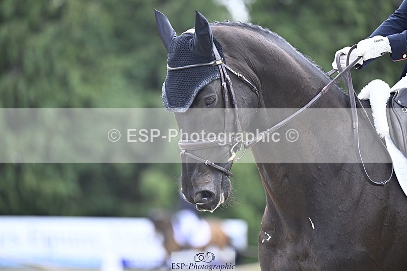 000101-193359-03984 - 422-DACAPO-Laura_Collett