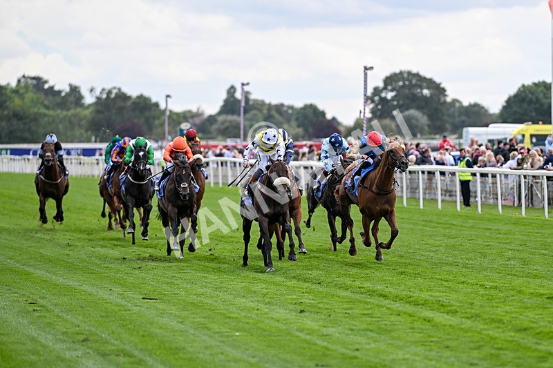 210826-Race 3-Arapaho Gold-5731 - Race 3 15.00pm Al Basti Equiworld Dubai Gimcrack Stakes