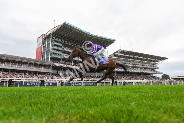 230823-Race 3-Continuous-0955 - Race 3 3.00pm Sky Bet Great Voltigeur Stakes