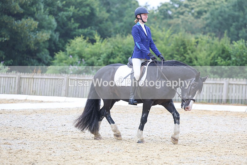 3E7A8402 - Class 2: Intro 3 2024 section B