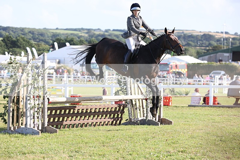 JPP_3117 - Class 21: Working Hunter 80cm