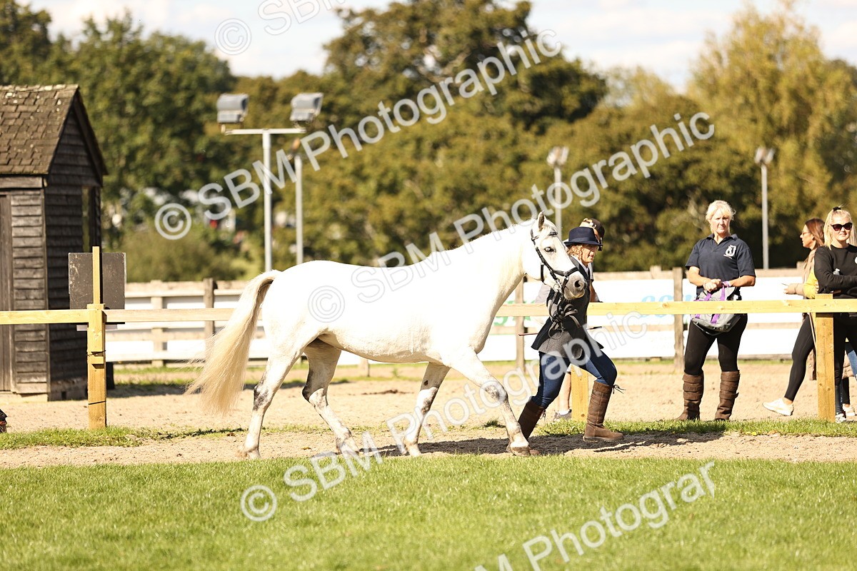 SBM_26128 - S5 - Novice & Newcomers In Hand