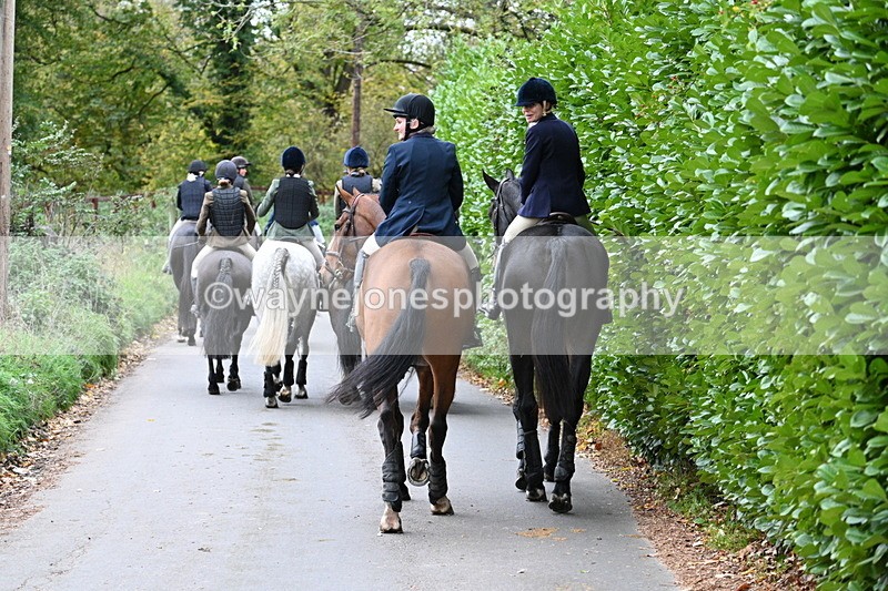 WJ7_7285 - Walk Home..