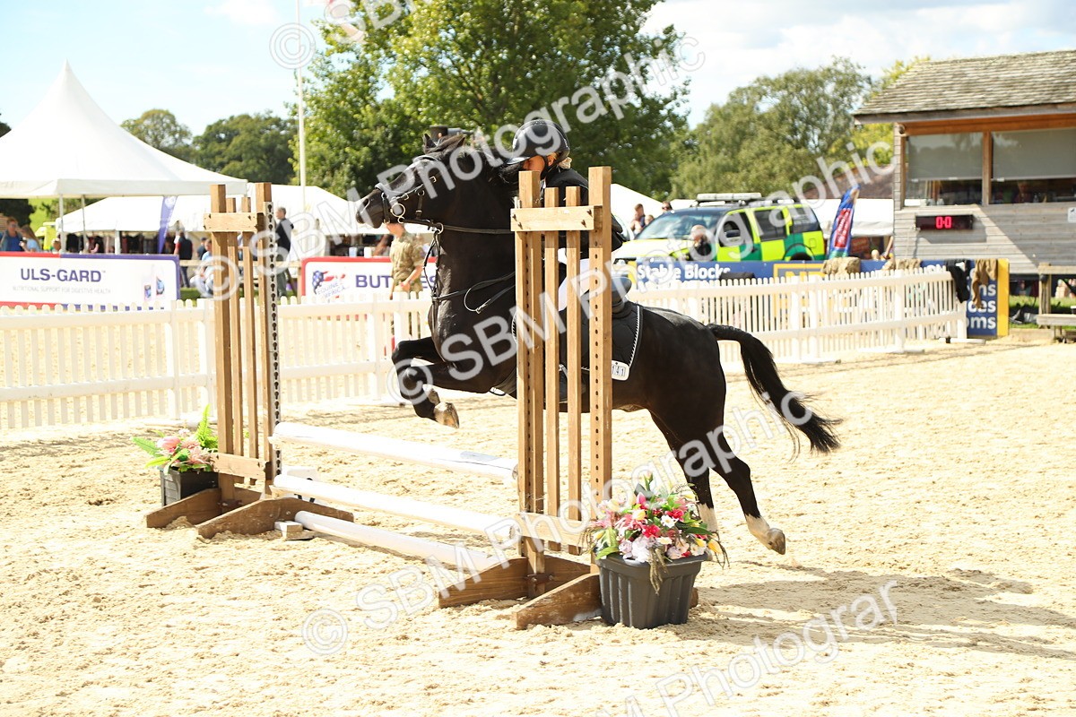 SBM_41314 - J6 - Junior Pony 55cm Championships