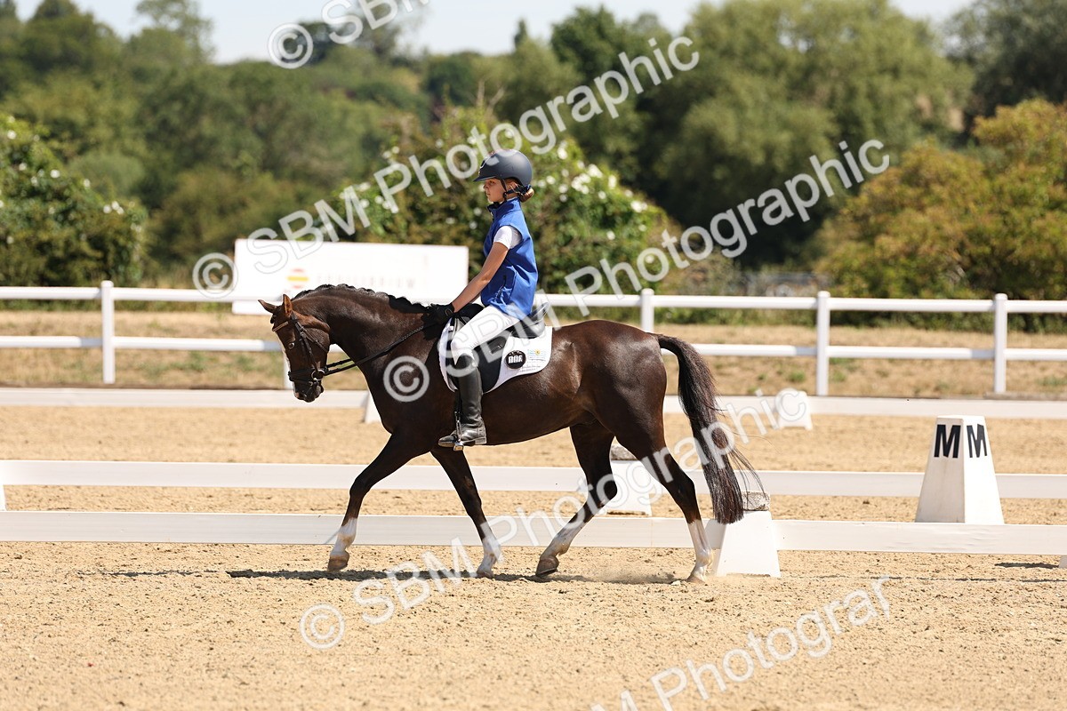 SBM_001184 - Intro 2