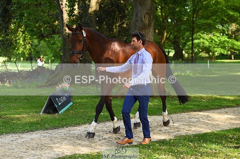 230524-172308-01480 - 180-GUEULE_DE_REVE-Arthur_Duffort-WEDTrotUp+DR