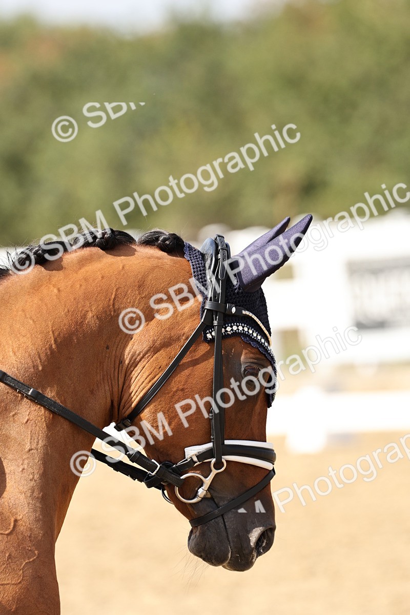 SBM_014833 - Class 7 - Medium 3