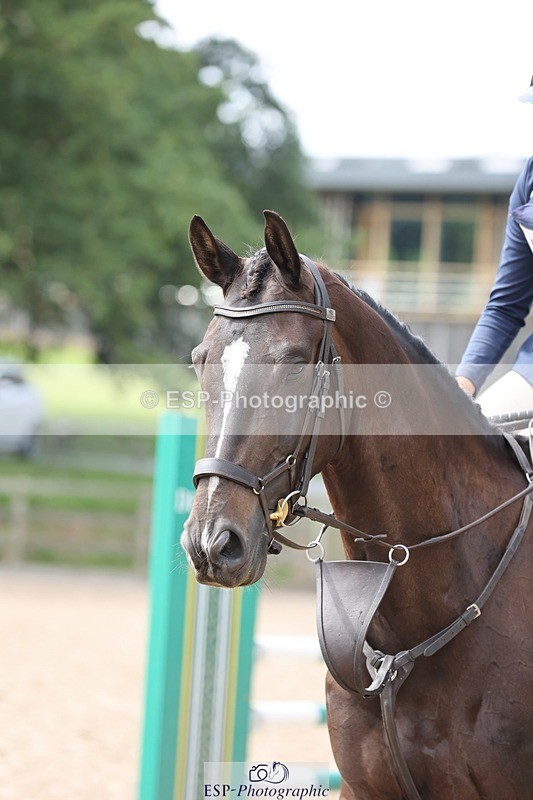 240803-150232-08627 - 263-Torie_Sleep-DUTCH-MAN