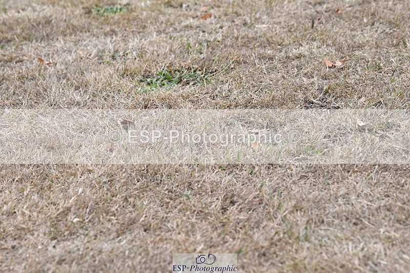 250820A-175728-12395 - Wednesday Presentations