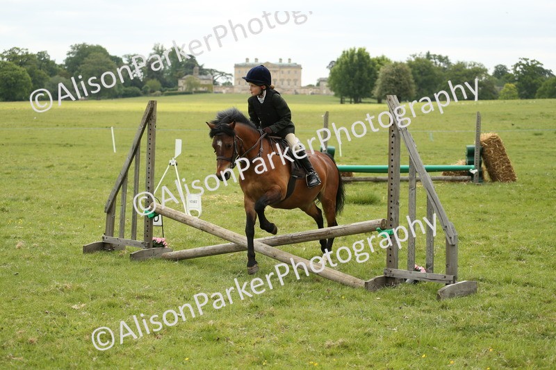 20250517-1193 - Class 21 - Novice Working Hunter