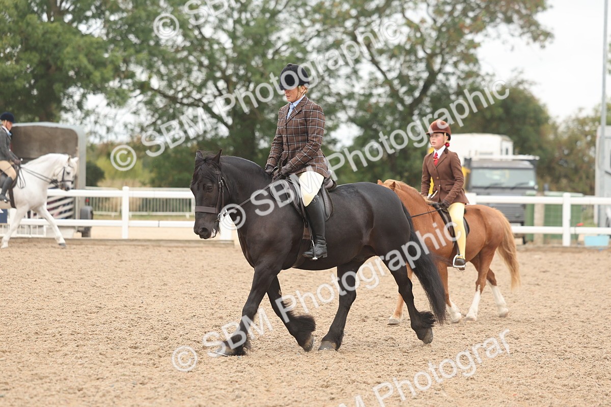 SBM_01900 - Class 14 - Ridden M&M Wildcard