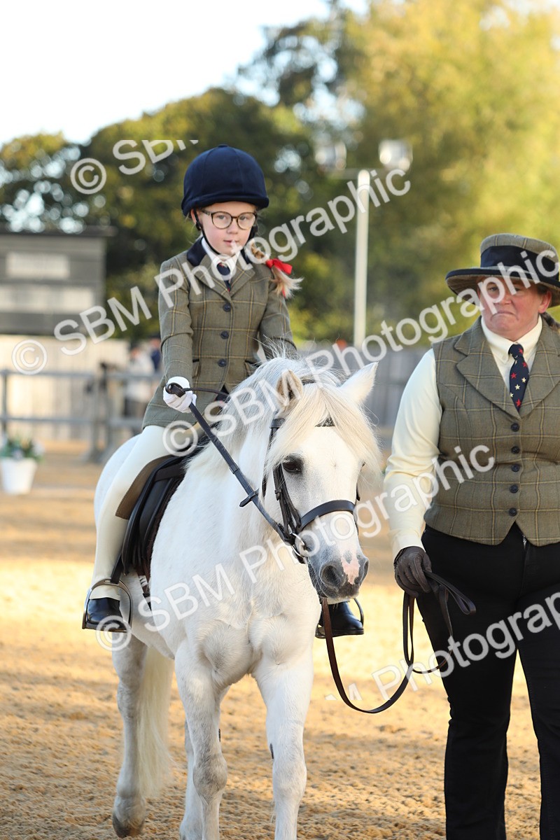 SBM_33605 - D26 - Starers - Lead Rein