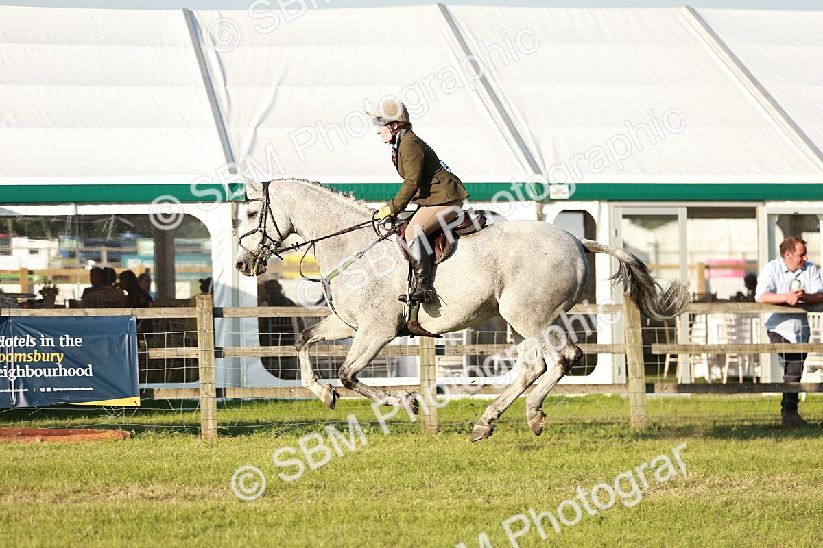 SBM_20497 - Class 117-119 - Sport Horse Working Hunter