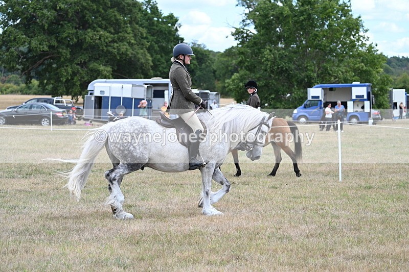 WJ7_4783 - Class 12 Ridden Cob