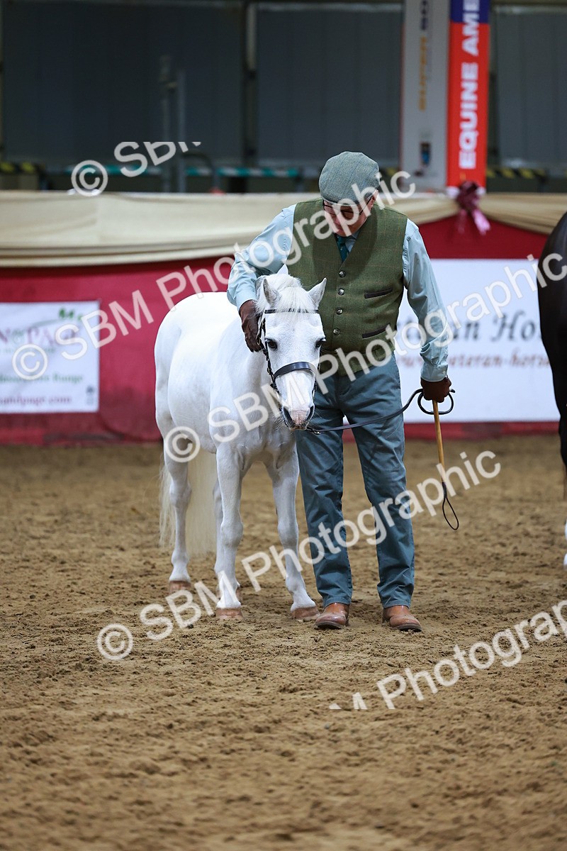 SBM_16241 - Class 901 - Sup Final - IH Diamond