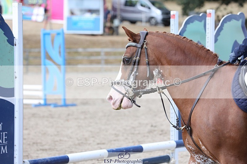 250821A-123244-15765 - NAF Round 1 11.30 to 12.30