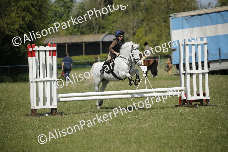 20250427-2206 - Class 13 - Novice Jumping 60cm