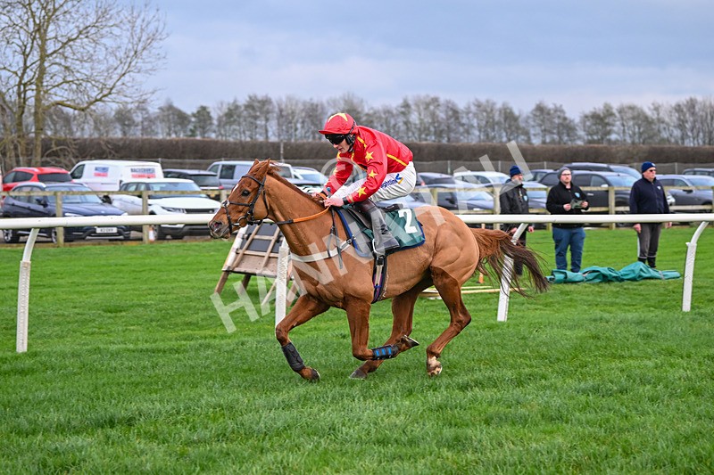 171224-Race 4-Wise Eagle-3325 - Race 4