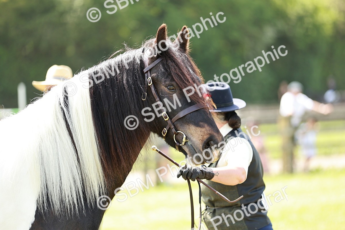 SBM_04171 - Class 39-40 - BSPA Coloured In Hand
