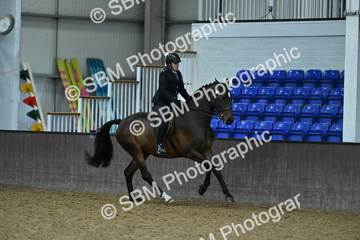 SBM_002081 - Class 23 - BSHA Ridden Show Hunter