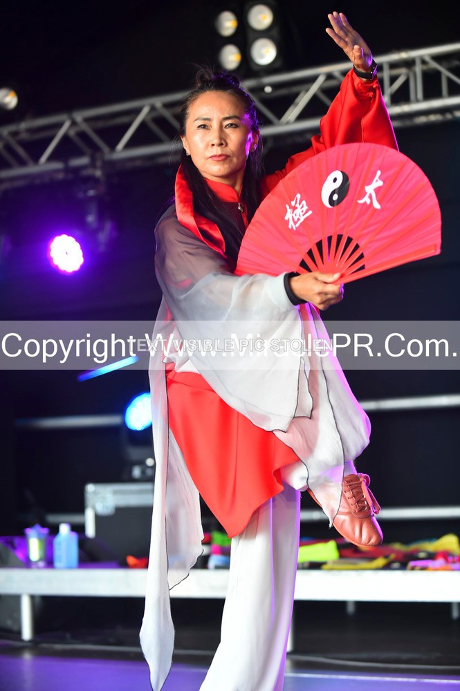 SH4_1659 - Tai Chi with Lisa Kay.