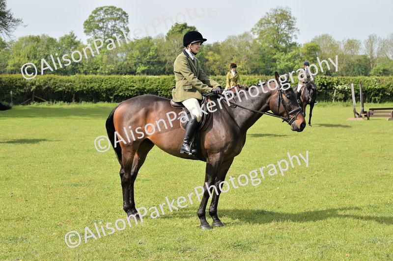 20260426-1159 - Class 19 - Retraining Of Racehorses