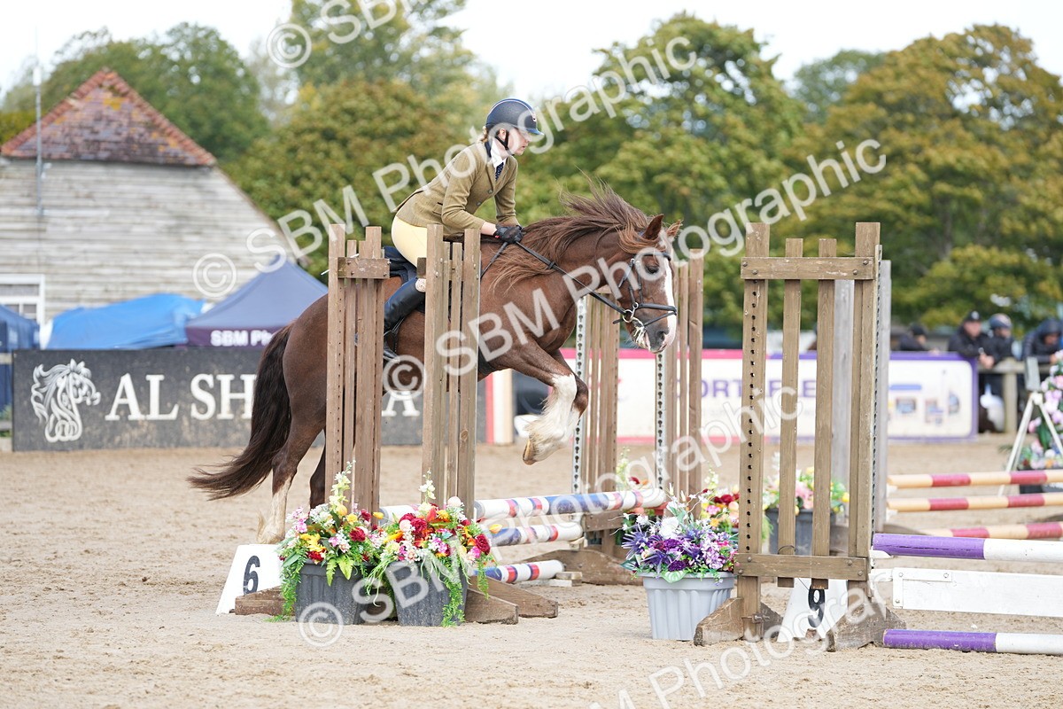 SBM_21306 - J49 - Open 50cm