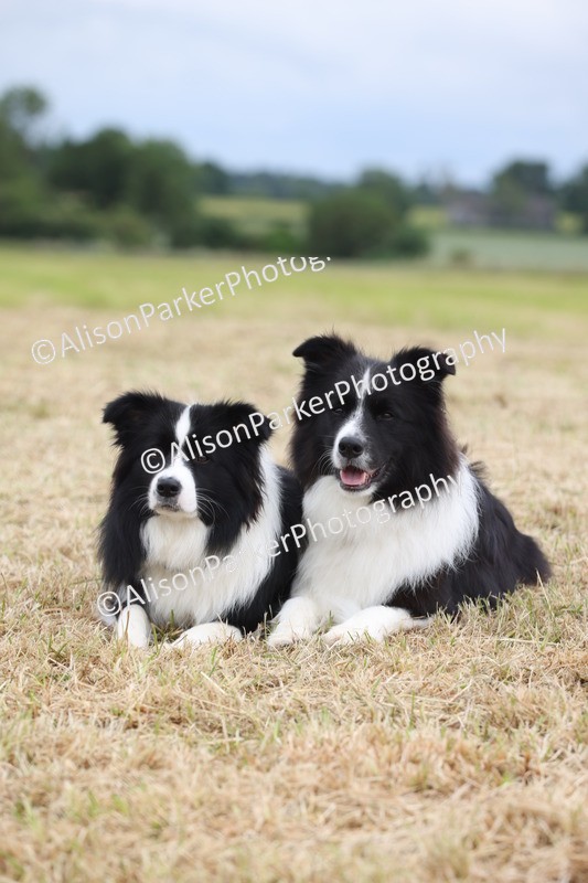 20250607-0503 - Misc