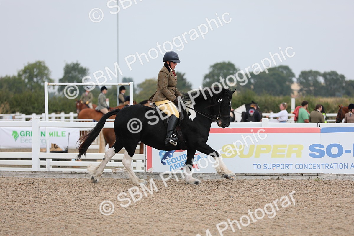SBM_12744 - Class 307 Ridden Coloured Pony
