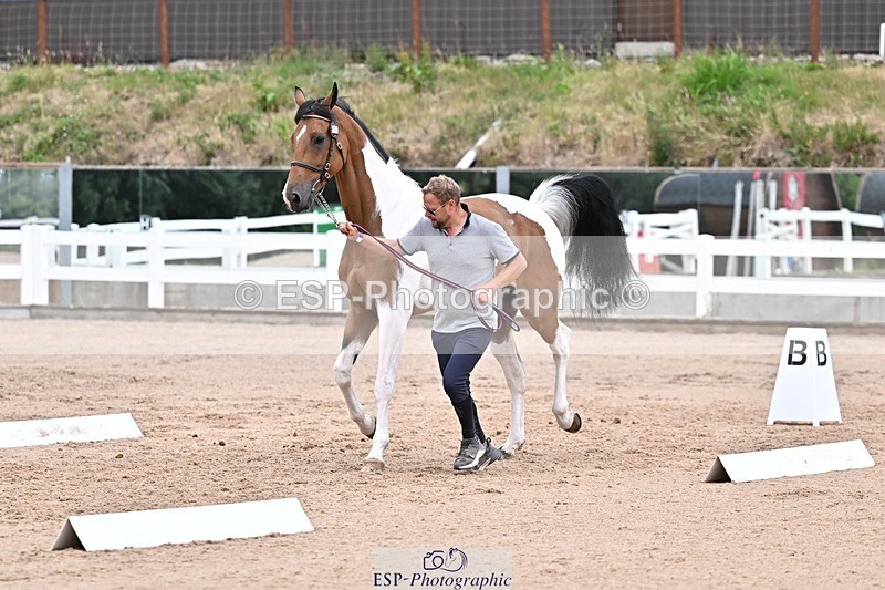 250716-134329-00655 - Trot Up 1.30 to 2.30
