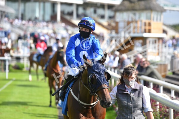 yr09072021r5-24 - Race 5: 4.20pm Garbutt + Elliott Stakes