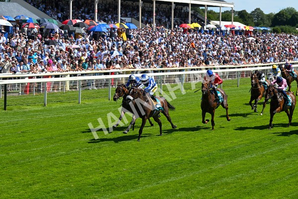 120725-Race 3-Fox Legacy-5677 - Race 3 3.10pm John Smith's Cup Handicap