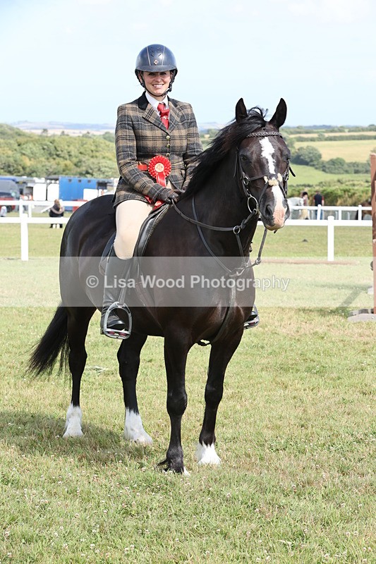 JPP_2448 - Class 19: Working Hunter 60cm