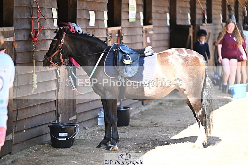 240729B-094719-01813 - Monday Stable Shots