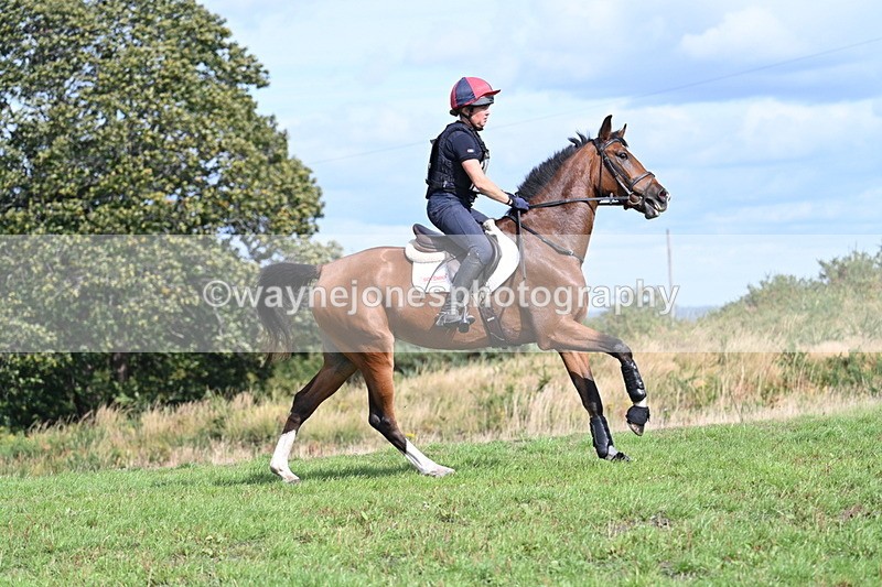 WJ7_2013 - Time 13:17 to 13:53