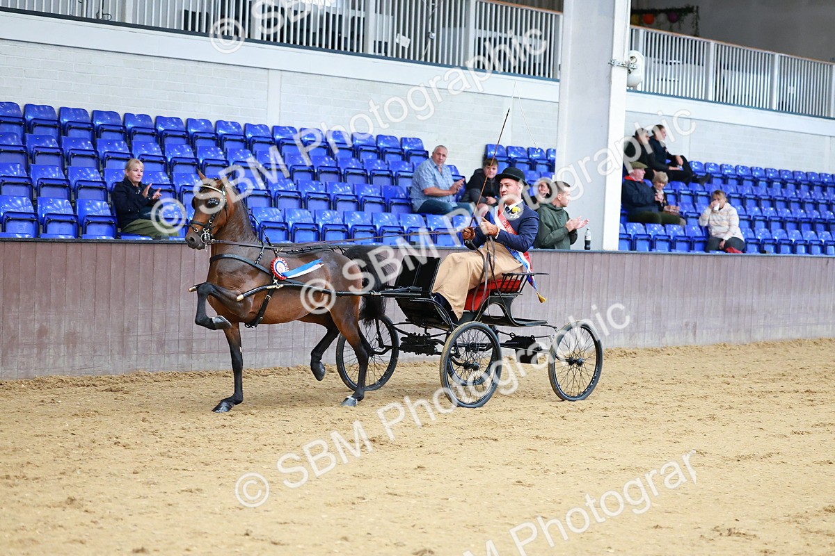 SBM_000685 - Class 9 - HHS Championship Intl Hackney Pony to a Showwagon