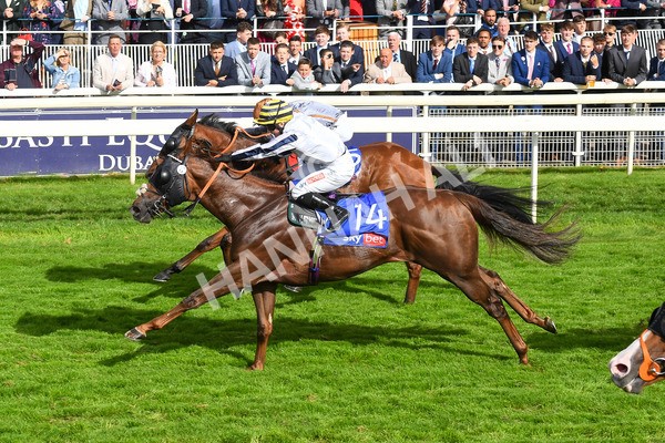 260823-Race 5-Summerghand-Albasheer-0780 - Race 5 Sky Bet Constantine Handicap