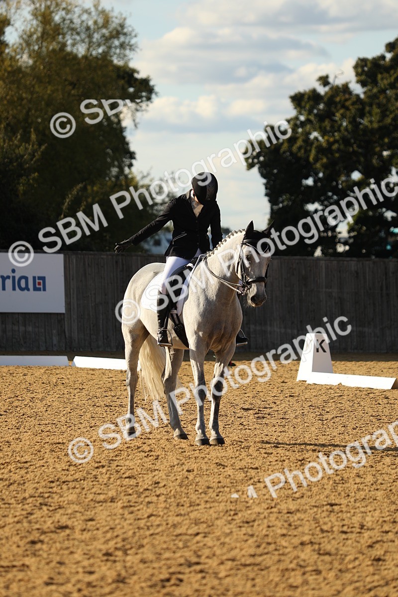 SBM_28601 - D20 - Grand Tour Championship - Elementary 44