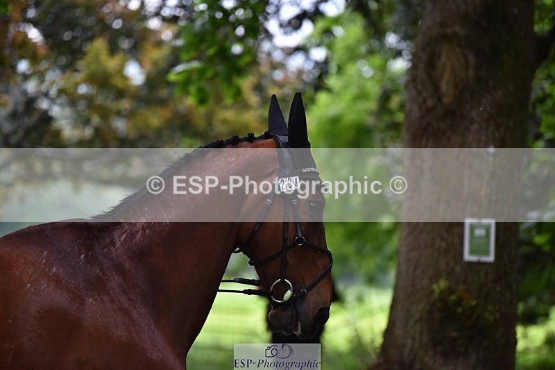 240522-162340-00886 - 204-ZADOK_D-Charlie_Piper