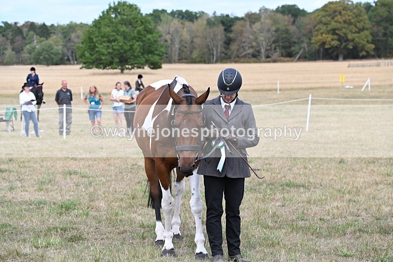 WJ6_6321 - Class 19 In-hand Veterans (Uploaded correct folder)