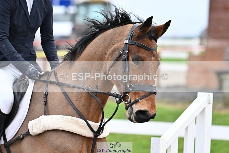 250112-094808-00800 - Cls 15 British Novice and 90cm Open