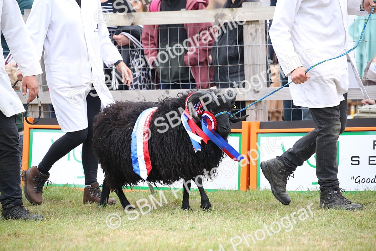 SBM_07775 - Grand Parade