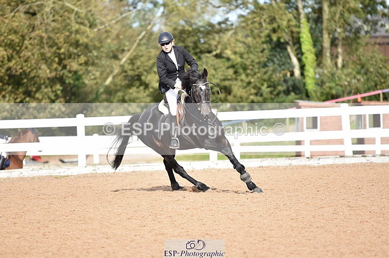 231015A-131318-08247 - Cls 25 95cm Amateur Q 2nd R