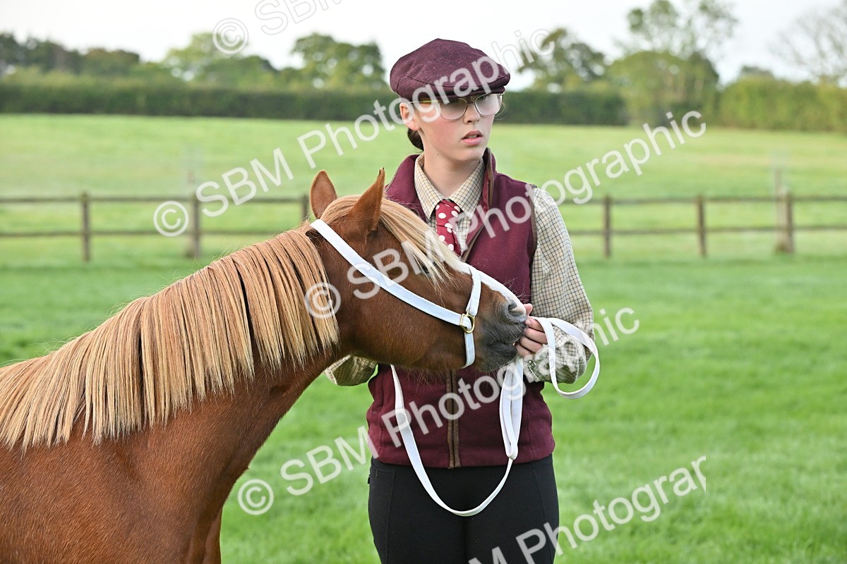 SBM_54612 - S44 - Youngstock In Hand