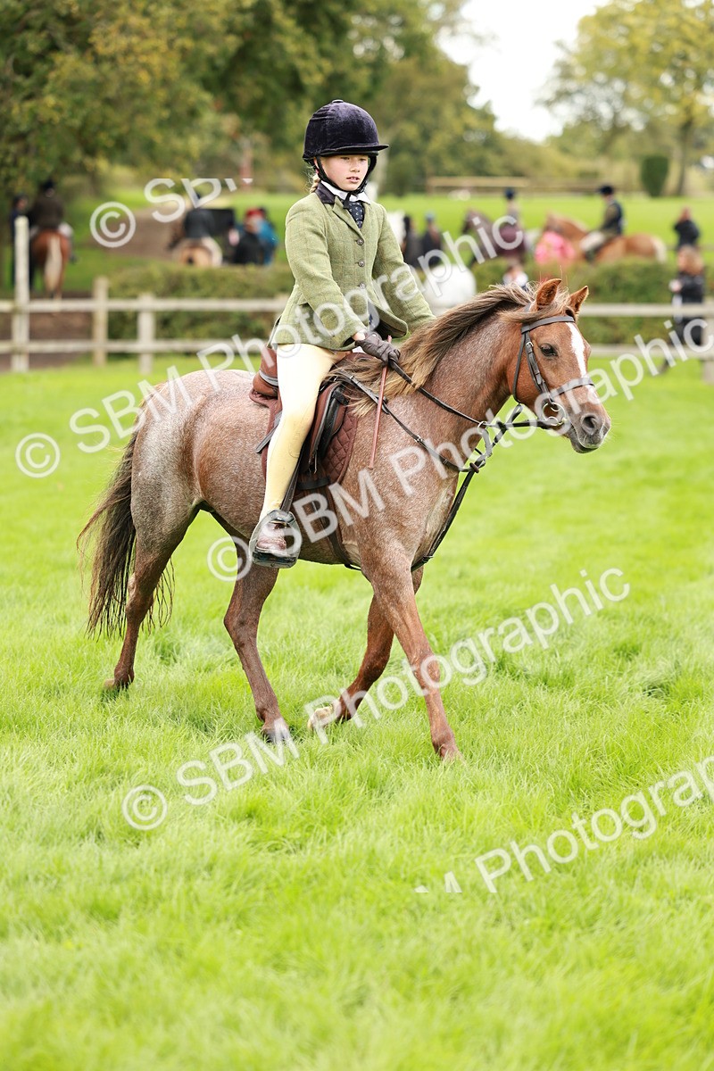 SBM_41782 - S32 - Mountain & Moorland Working Hunter Pony