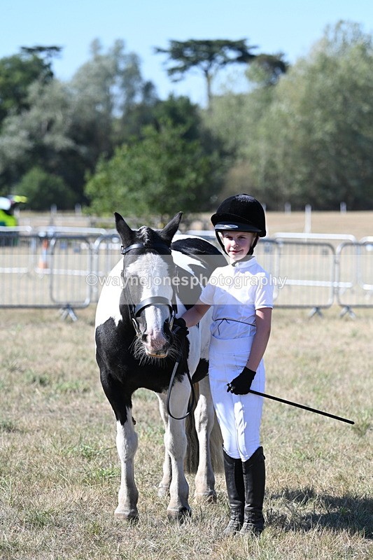 WJ7_1916 - Class 43 Best Six Legs (In hand)