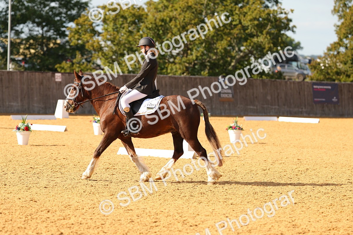 SBM_49637 - D22 - Junior Championship - Intro B