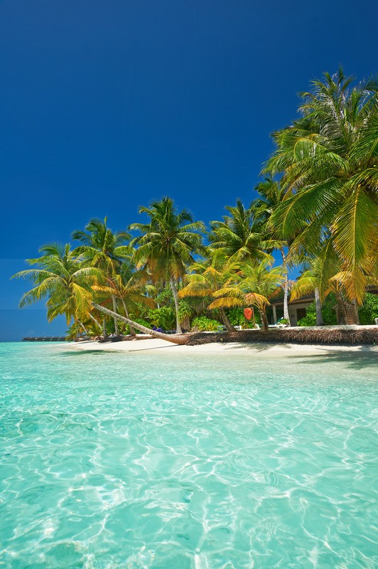 0124_75 - Maldives
