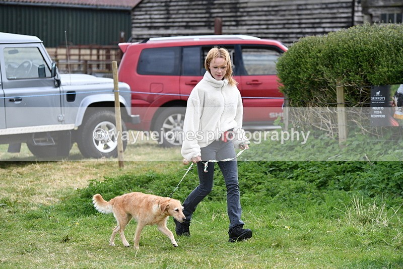 WJ5_9201 - Class 1 Best Cross Breed / Heniz 57