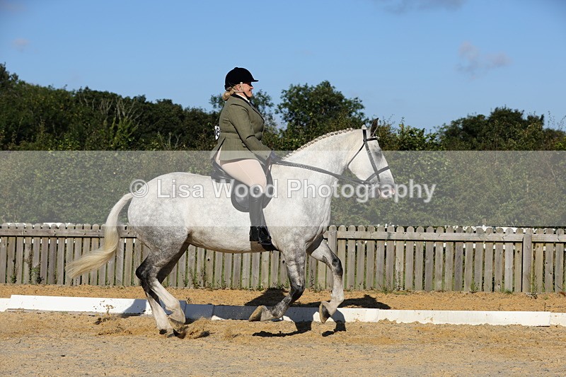 1X9A7563 - Class 7: Novice Ridden Hunter/Hack/Cob/Riding Horse